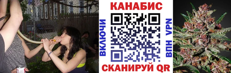 Шишки марихуана планчик продажа наркотиков Козельск